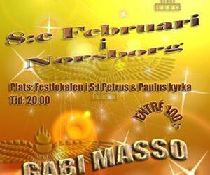 Julfest i Norsborg